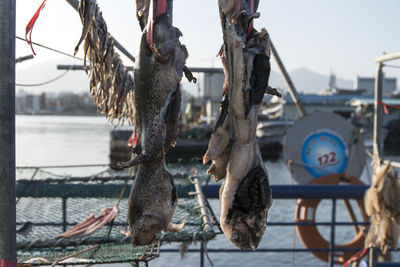 Close-up of clothes hanging on railing against sea