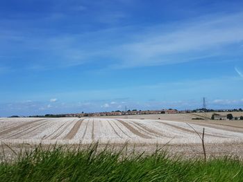 Scenic view of field against blue sky