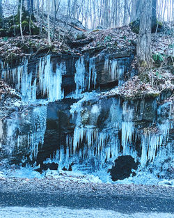 cold temperature