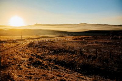 Scenic view of field against bright sun