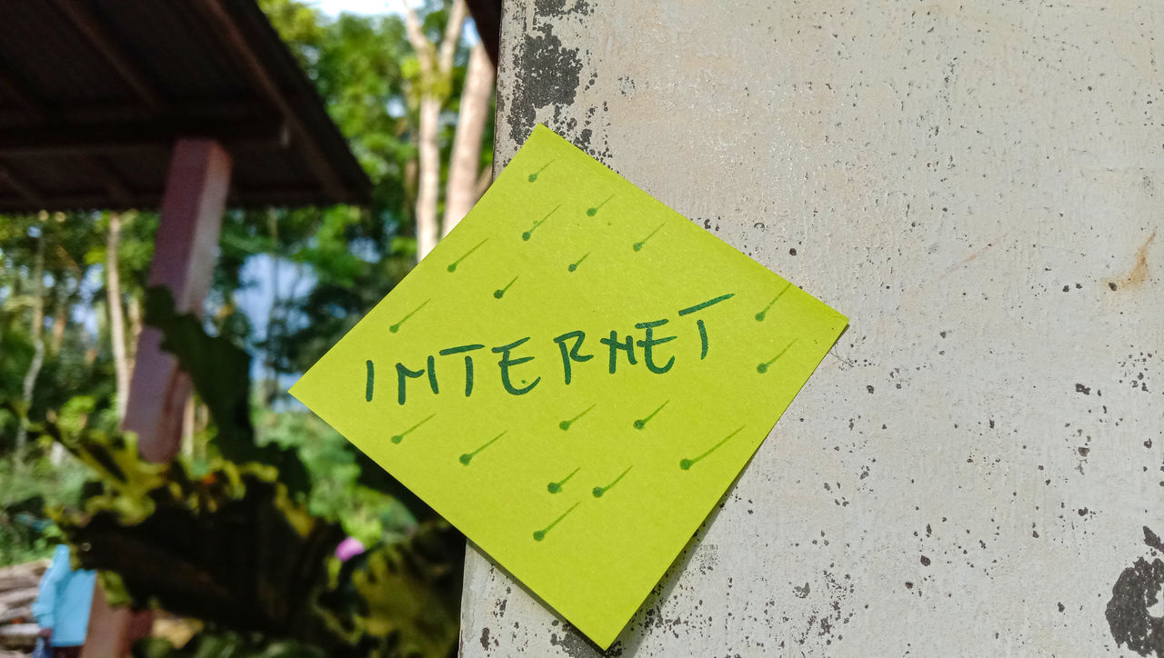 communication, green, yellow, text, sign, western script, no people, day, focus on foreground, tree, close-up, information sign, outdoors, nature, built structure, architecture, note, message, warning sign, plant, adhesive note, flower