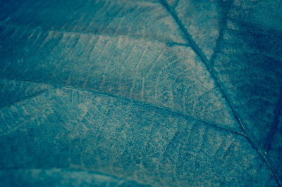 Full frame shot of swimming pool