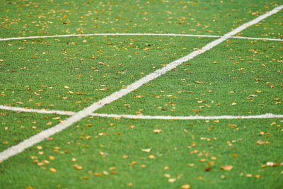 High angle view of green field