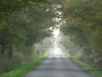 Road amidst trees against sky