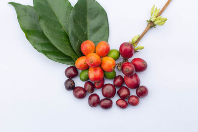 Close-up of cherries against white background