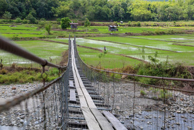 Railway tracks along trees on field