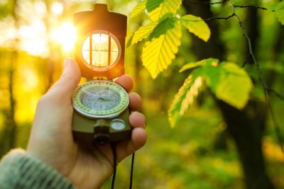 Cropped hand of man holding navigational compass against trees