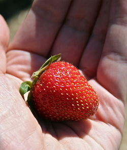 Close-up of hand holding strawberry