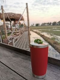 Close-up of potted plant on table