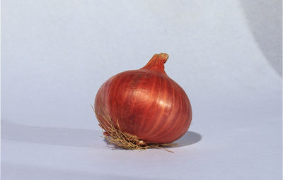 Close-up of pumpkin on table