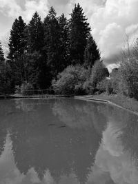 Reflection of trees in water