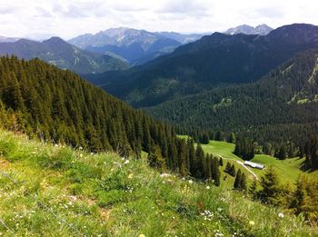 Scenic view of agricultural field against mountains