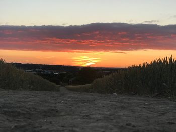 Scenic view of field against sky during sunset