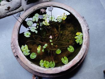 High angle view of food in bowl on table