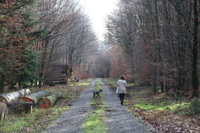 Rear view of person walking on footpath in forest