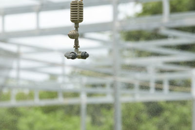 Sprinkler spraying water in greenhouse