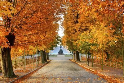 Pathway along autumnal trees