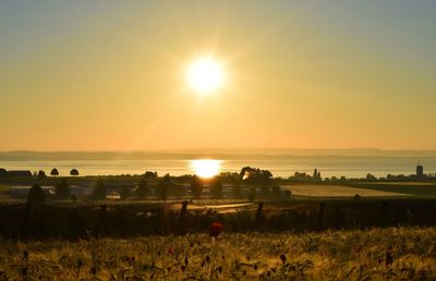 Scenic view of field against sky during sunset