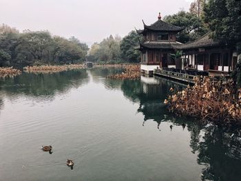 Birds by lake against sky