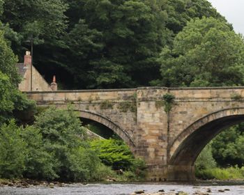 Arch bridge over river against trees