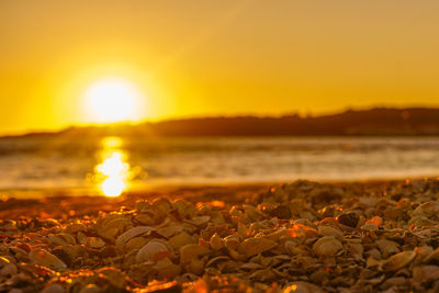 Close-up of pebbles at sunset