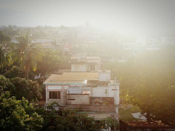 Buildings in city