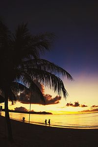 Silhouette palm trees on beach at sunset