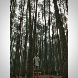 Rear view of man standing by tree trunk in forest