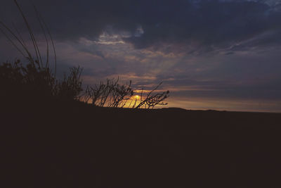 Silhouette of trees against dramatic sky during sunset