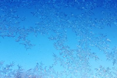 Full frame shot of water drops on glass window