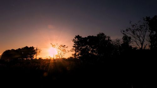 Silhouette trees on field against orange sky