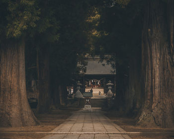 Footpath amidst trees and buildings