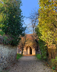 Footpath amidst trees against sky during autumn