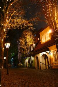 Illuminated christmas tree at night