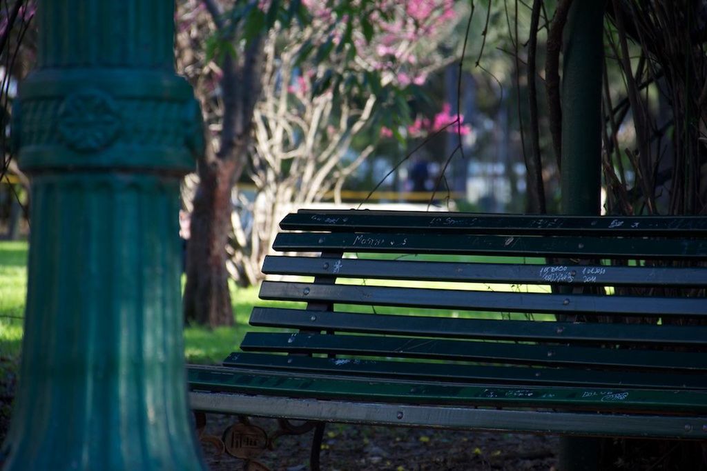 CLOSE-UP OF PARK IN TREE