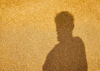 Shadow of person on sand