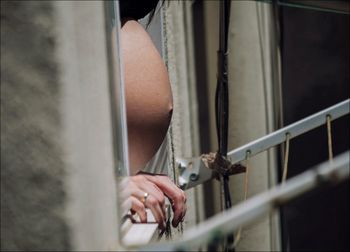 Close up of plant against blurred background