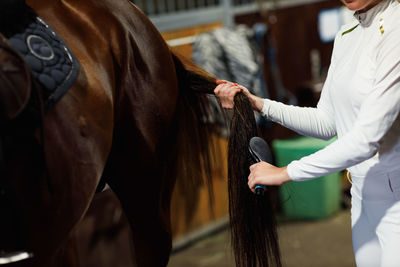 Midsection of woman holding horse