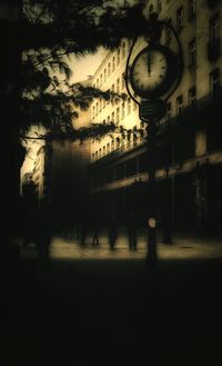Trees in the dark