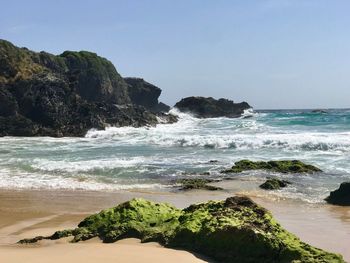 Scenic view of sea against clear sky