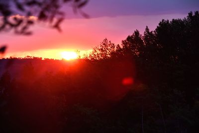 Silhouette trees against sky during sunset