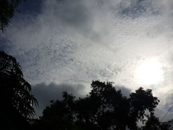 Low angle view of silhouette trees against sky