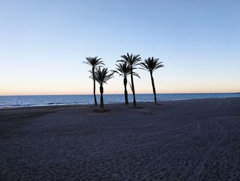 Palm trees on beach against sky during sunset