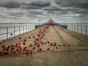 Red railing by sea against sky