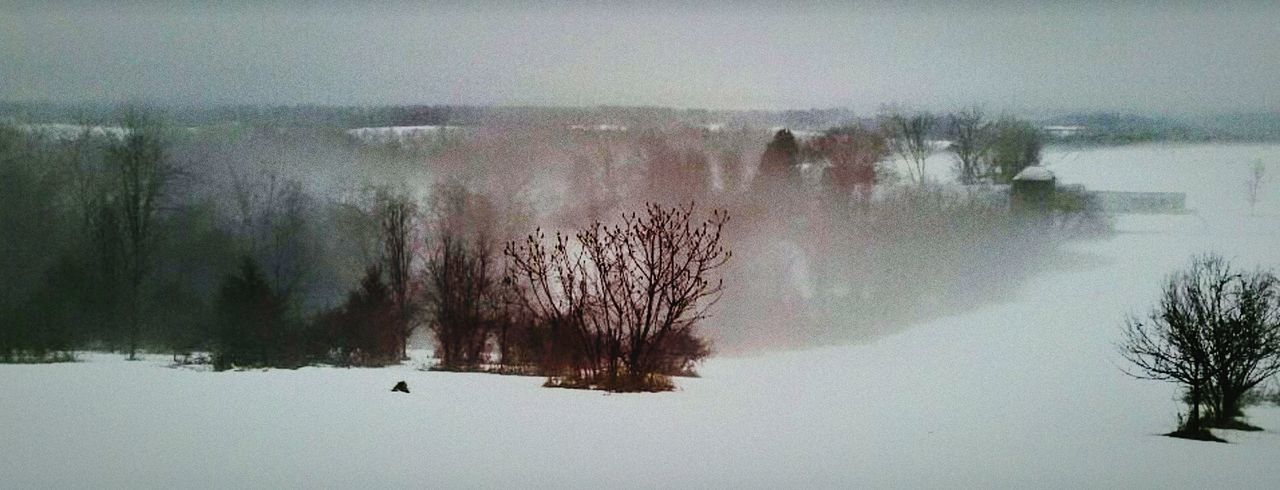 water, lake, winter, cold temperature, bare tree, tree, tranquil scene, tranquility, snow, reflection, scenics, nature, season, weather, beauty in nature, waterfront, fog, frozen, bird