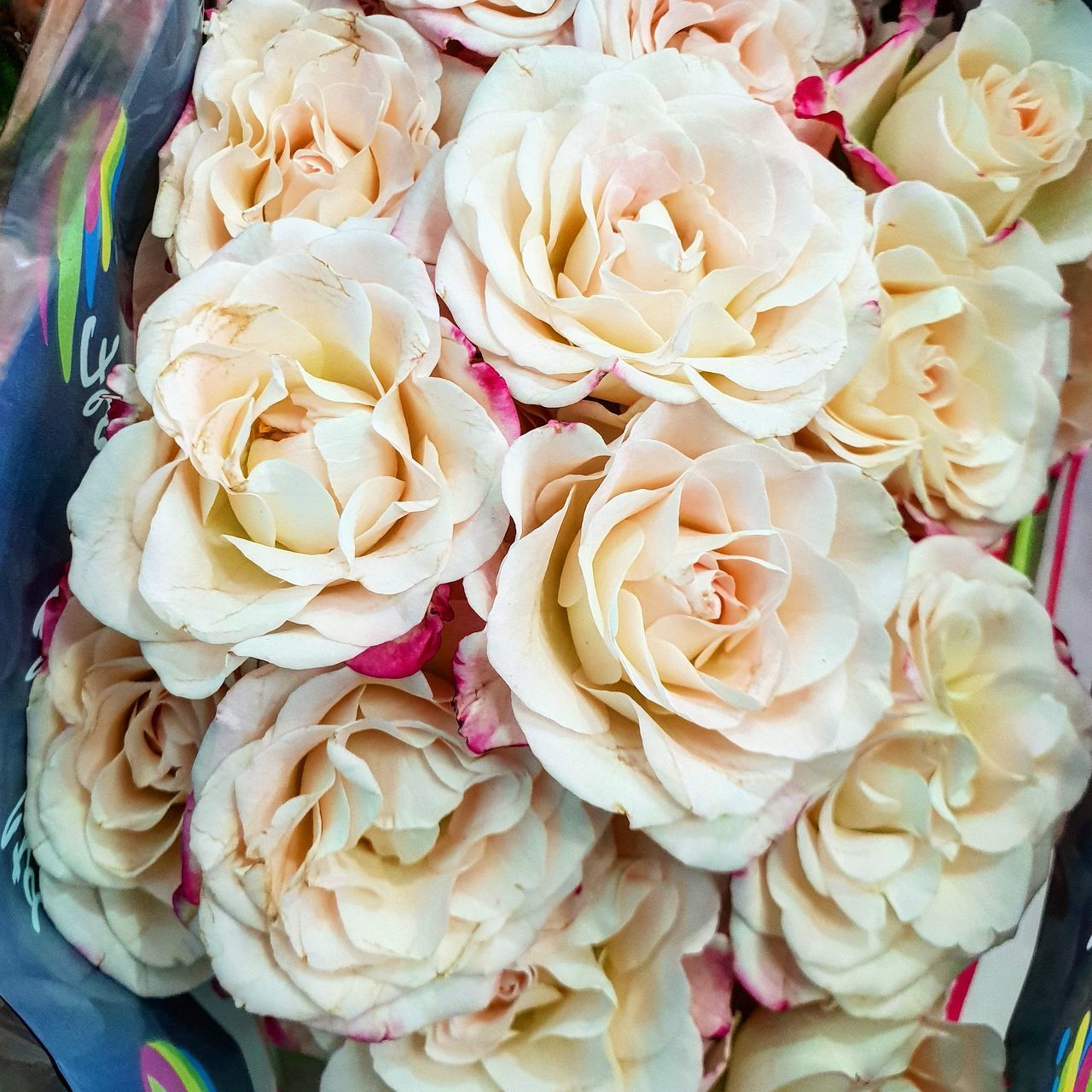 HIGH ANGLE VIEW OF ROSE BOUQUET ON WHITE ROSES