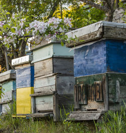 Old bee boxes 