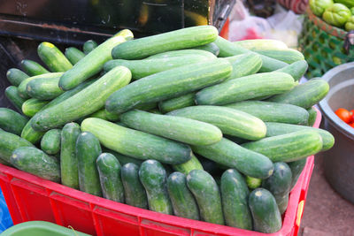 High angle view of cucumbers for sale at market stall