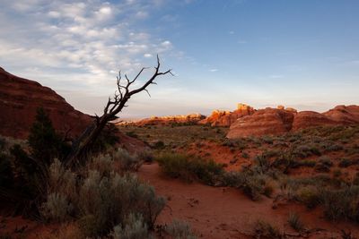 Scenic view of desert against sky