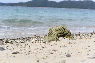 Close-up of rocks on shore